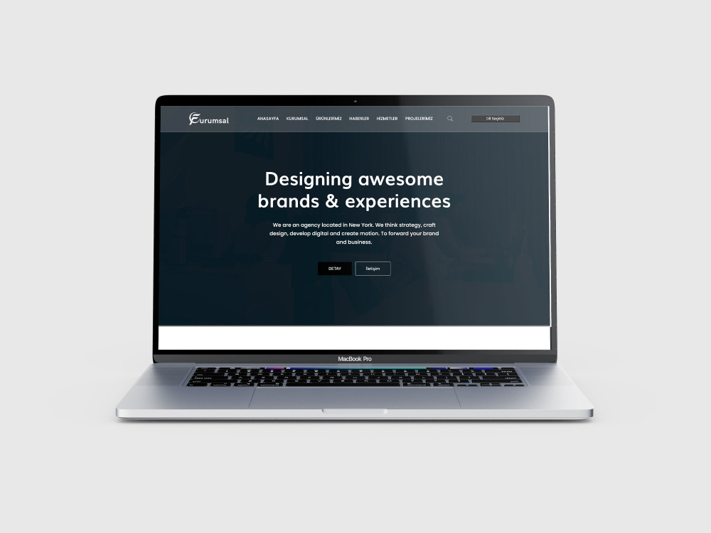 Kurumsal V2 Holly Tüm Sektörlere Uygundur